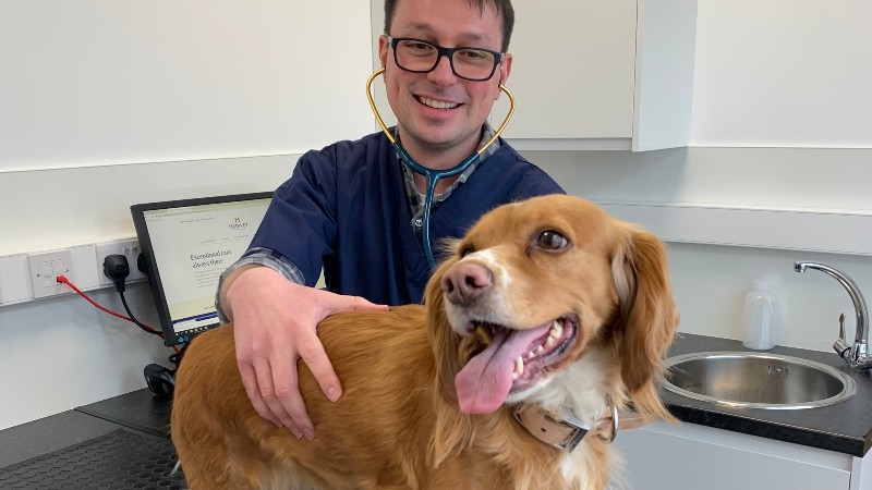 Dog Vet.jpg