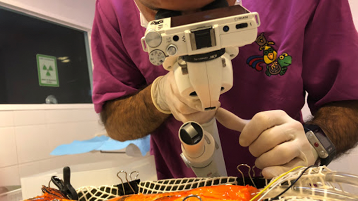 Laboratorio propio