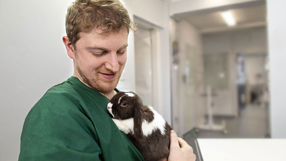 Nurse-with-Rabbit-16x9.jpg