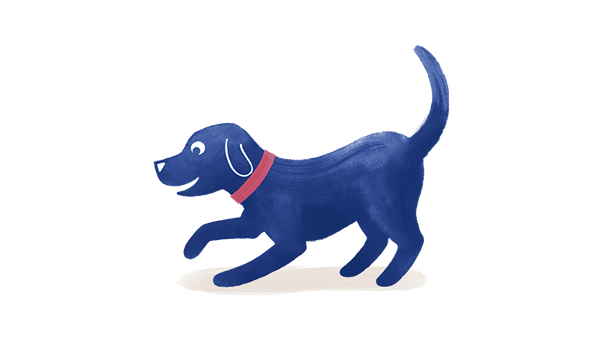 Dog playing