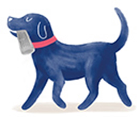 Dog holding paper in mouth